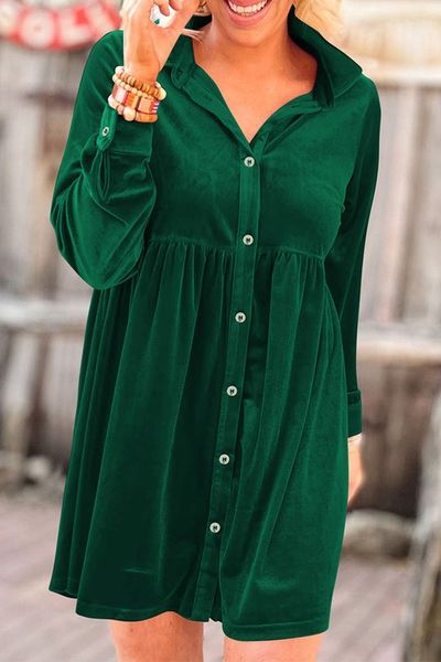 Button Down Velvet Dress