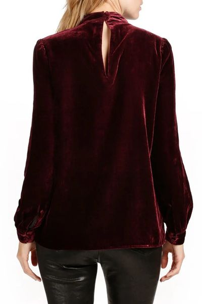 Velvet Chocker Blouse