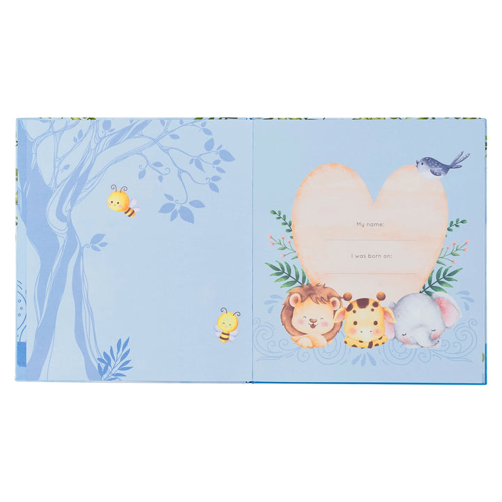 TM Memory Book For Baby Boys